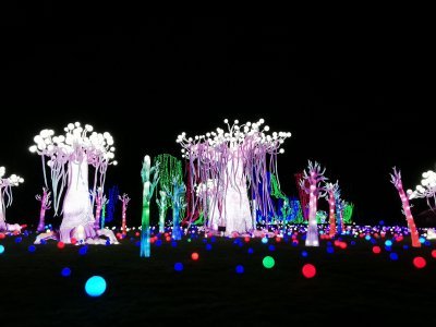 48.86279296861111,1.793528795