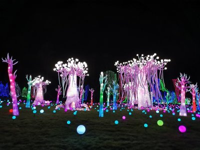 48.86279296861111,1.793528795