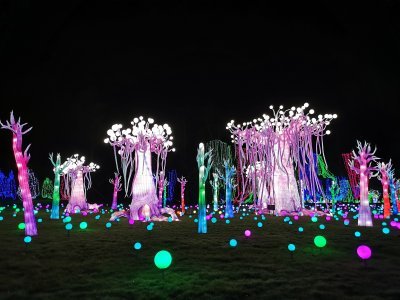 48.86279296861111,1.793528795