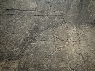 45.46376388888889,9.18543055555556