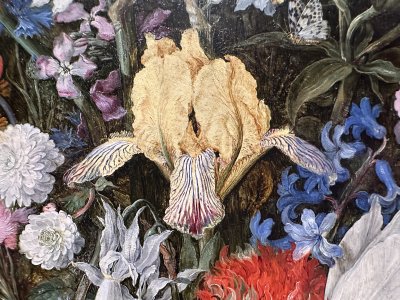 45.46364722222223,9.18553055555556