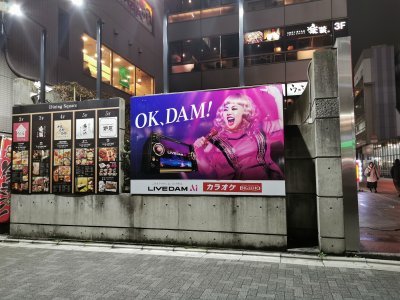 35.69797134388889,139.77497863750003