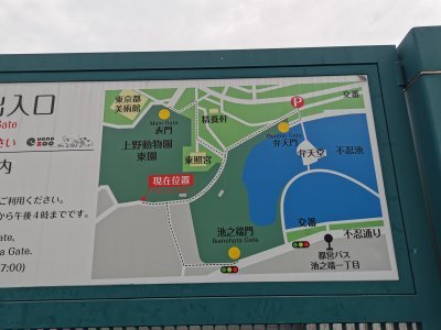 35.71668243388889,139.76992797833336