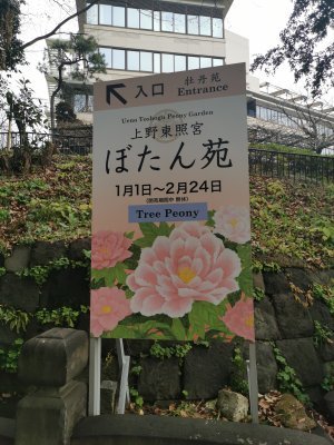 35.71443939194445,139.77139282222223