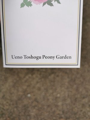 35.71509933444445,139.77241516111113