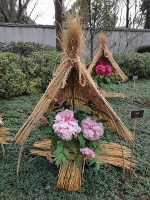 35.71551895138889,139.77256774888889