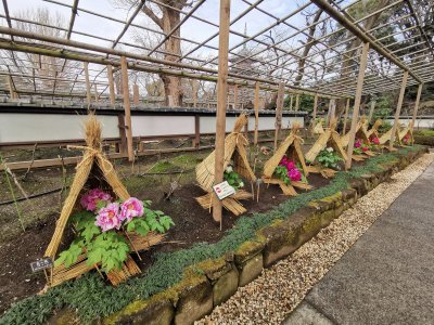 35.71505355833334,139.77227783194445