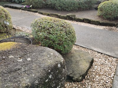 35.71506118750001,139.77229309055556