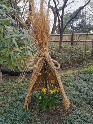 35.71486282333333,139.77336120583334