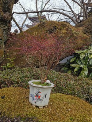 35.71519088722223,139.77197265611113