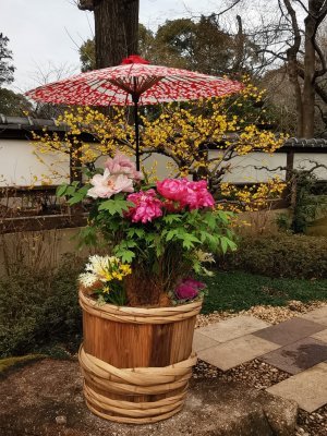 35.71514511083333,139.77188110333336