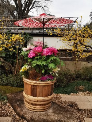 35.71516036972223,139.77188110333336