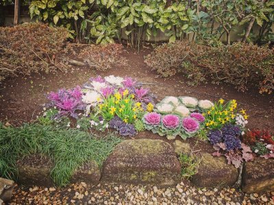 35.71522521972223,139.77175903305556