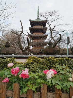 35.71522521972223,139.77174377416668