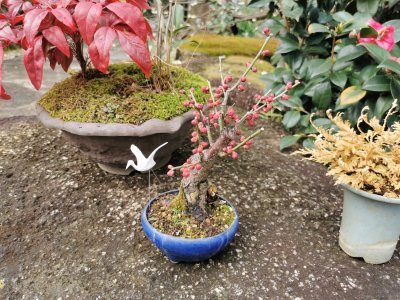 35.71519851666667,139.77169799777778