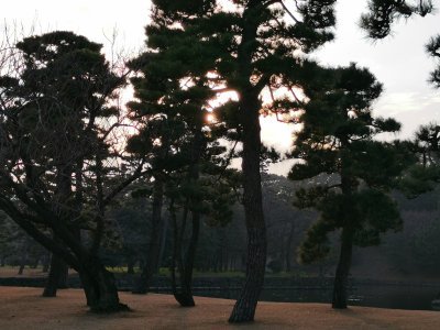 35.68240737888889,139.7564697263889