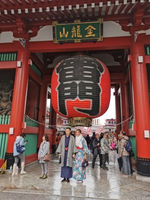 35.71111111111112,139.79555555555555