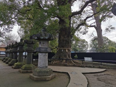 35.7151870725,139.77067565916667