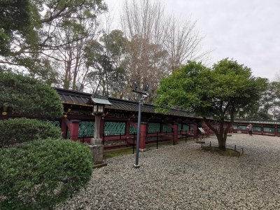 35.71529006944445,139.77087402333333