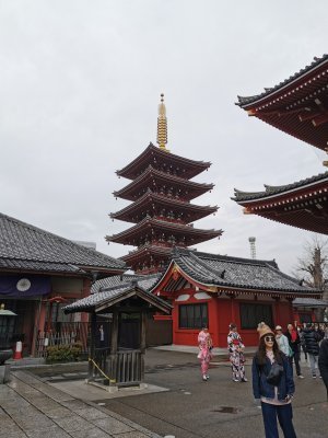 35.71388626083333,139.79667663555554