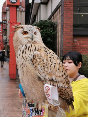 35.71250000000001,139.79472222222222