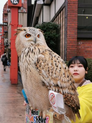 35.71250000000001,139.79472222222222