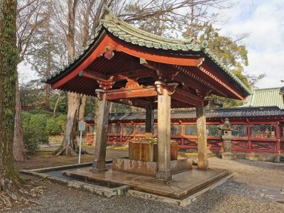 35.71979904166667,139.76086425777777