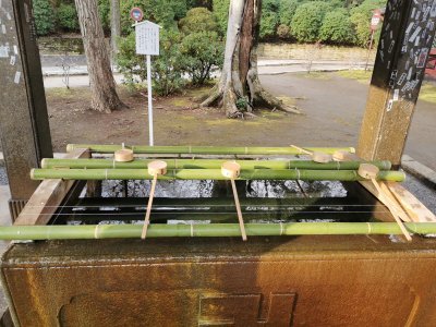 35.71979904166667,139.76086425777777