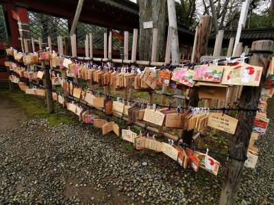 35.71995925888889,139.76063537583335