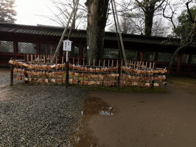 35.7199134825,139.76057434055556