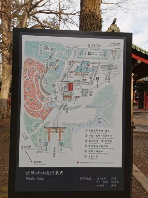 35.71977233861112,139.76077270499999