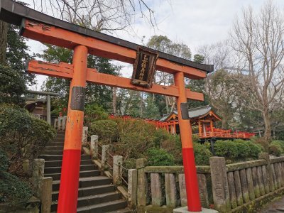 35.71974563583333,139.76011657694445