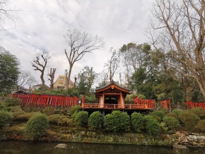 35.71987533555556,139.76062011694444