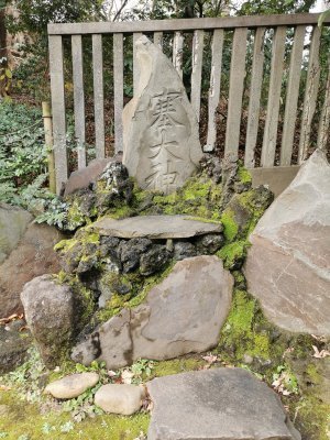 35.72004318222223,139.7602539061111