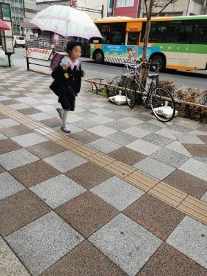 35.71030044555556,139.79138183583333