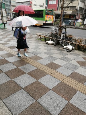 35.71030044555556,139.79138183583333