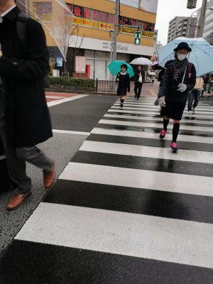 35.70949935888889,139.79145812972223