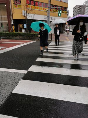 35.70944444444445,139.79111111111112