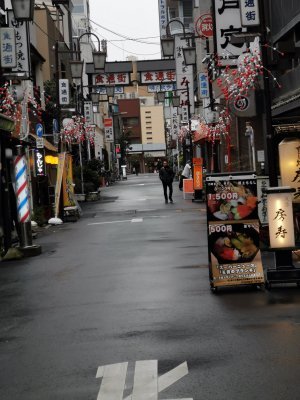 35.71176528916667,139.79324340805556