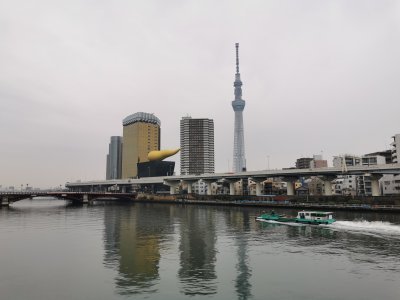 35.70866012555556,139.79679870583334