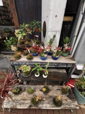 35.70874786361112,139.80583190916667