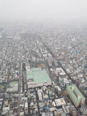 35.71004486083334,139.81063842750001