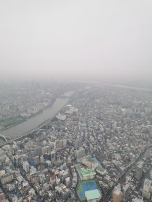 35.71022796611111,139.81079101555557