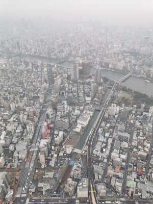 35.71011352527778,139.81037902805556