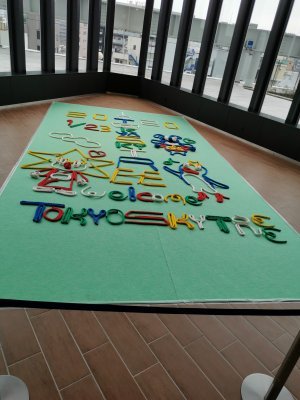 35.70978546138889,139.81118774388889