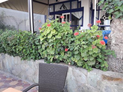 30.49833333333333,-9.67222222222222