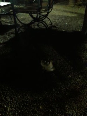 30.50333333333333,-9.675