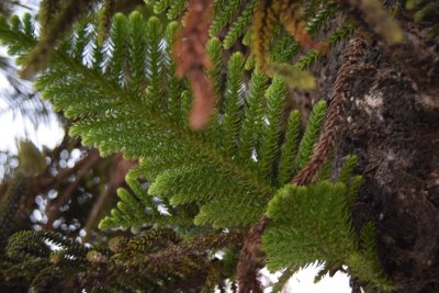 34.88166666666667,-6.29055555555556