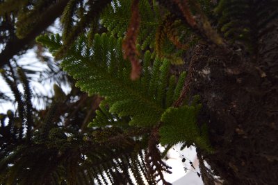 34.88166666666667,-6.29055555555556