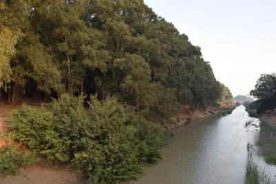 34.88166666666667,-6.29055555555556